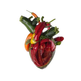 CARCASS - Torn Arteries