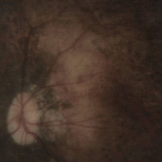 PALE SPEKTRE - Bereft Of Xerotic Layers