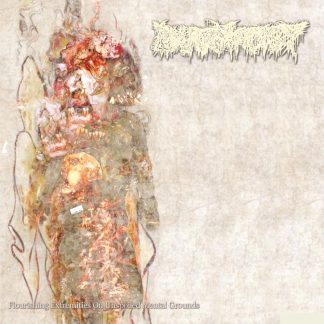 PHARMACIST - Flourishing Extremities on Unspoiled Mental Grounds (LP)