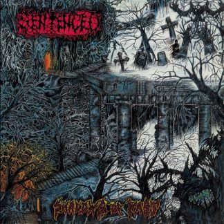 SENTENCED - Shadows Of Past (LP)