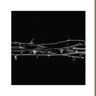 AMENRA - De Doorn (Gold 2LP)