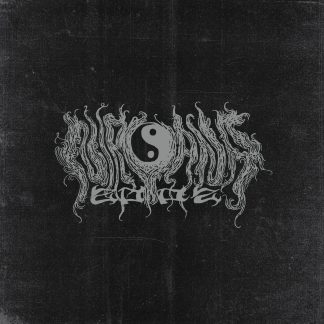 NIRVANA 2002 - Recordings 89-91  (LP)