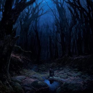 WOODS OF DESOLATION - Torn Beyond Reason (LP)