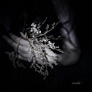 CLOUDS - Destin (Con Bonus)