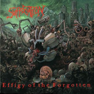 SUFFOCATION - Effigy of the Forgotten (Blue LP)
