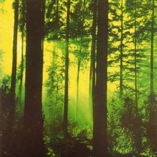 THY SERPENT - Forests Of Witchery