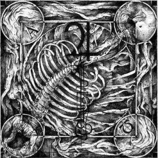 JUPITERIAN - Aphotic