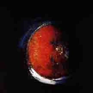 NUCLEAR DEATH - The planet Cachexial